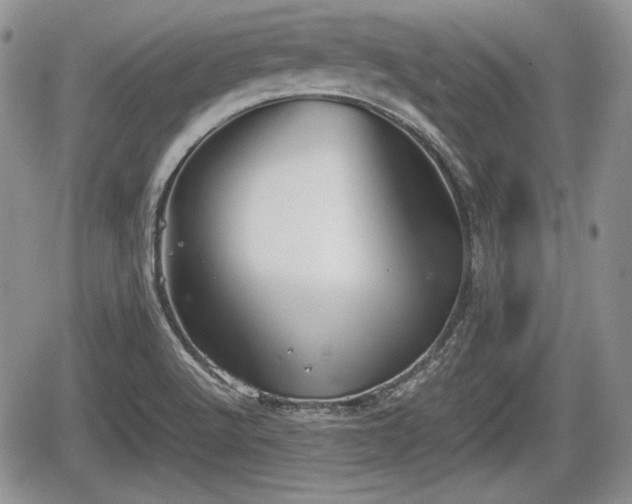 X0000067871512200604171211