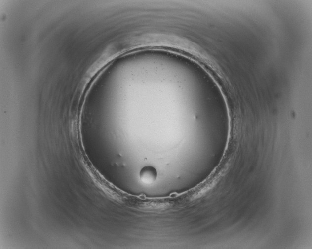 X0000067871513200604171211