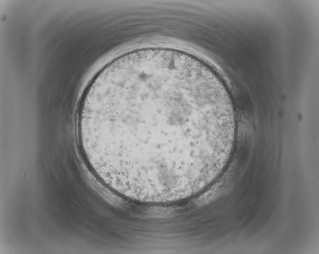 X0000067871514200604171211