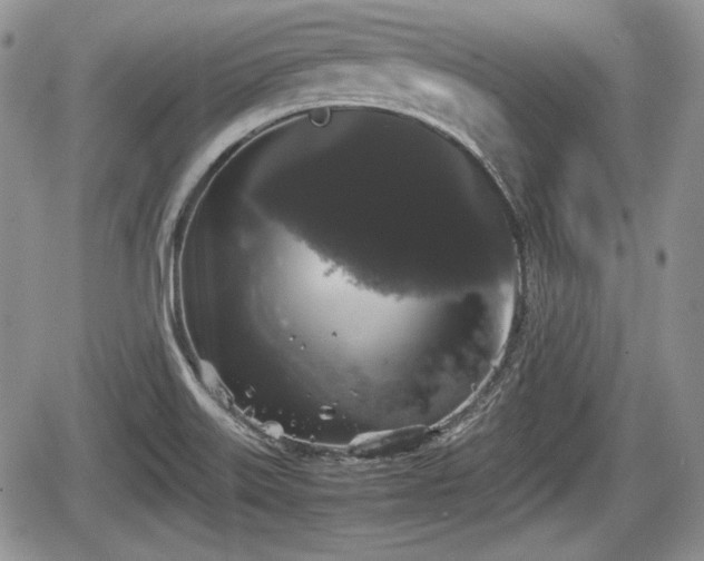 X0000067871515200604171211