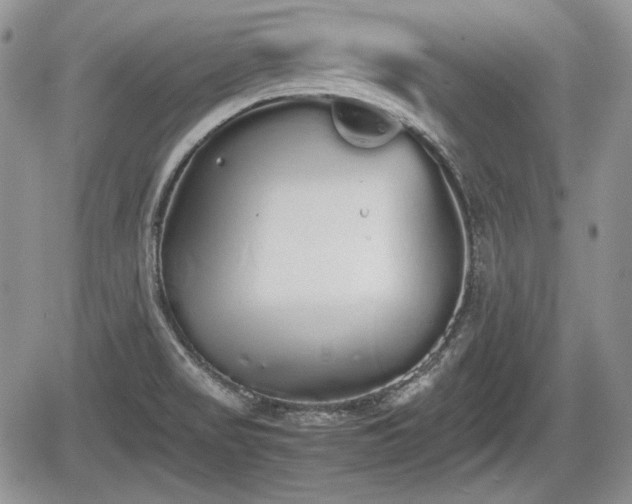 X0000067871517200604171211