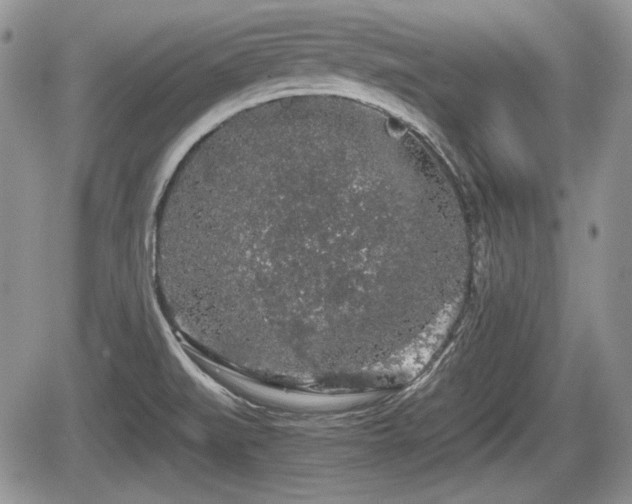 X0000067871519200604171211