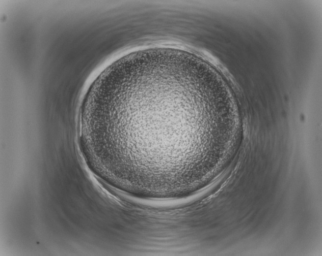 X0000067871520200604171211