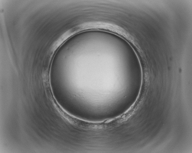 X0000067871521200604171211