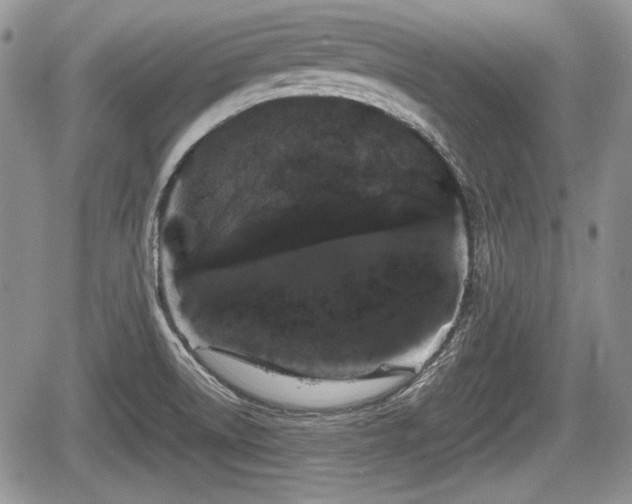 X0000067871522200604171211