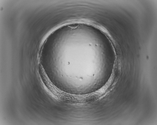 X0000067871524200604171211