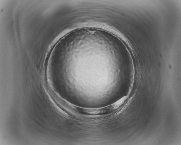 X0000067871525200604171211