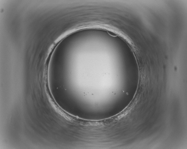 X0000067871526200604171211