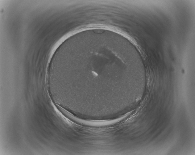 X0000067871527200604171211