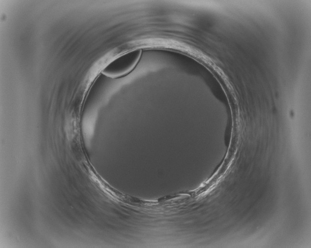 X0000067871529200604171211