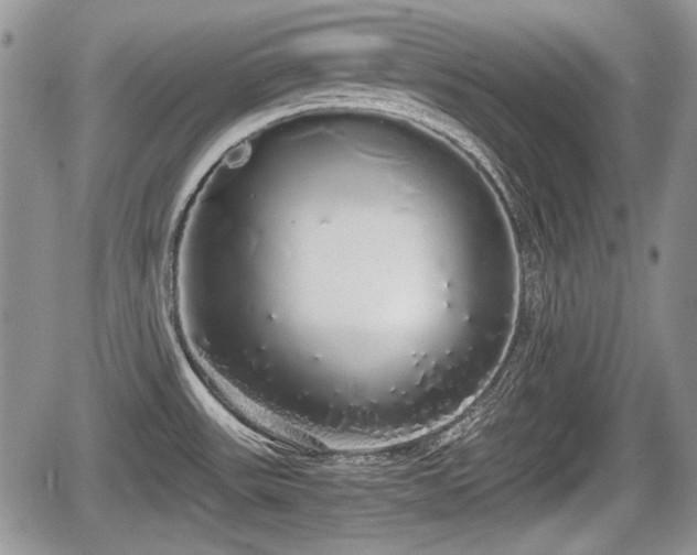 X0000067871531200604171211