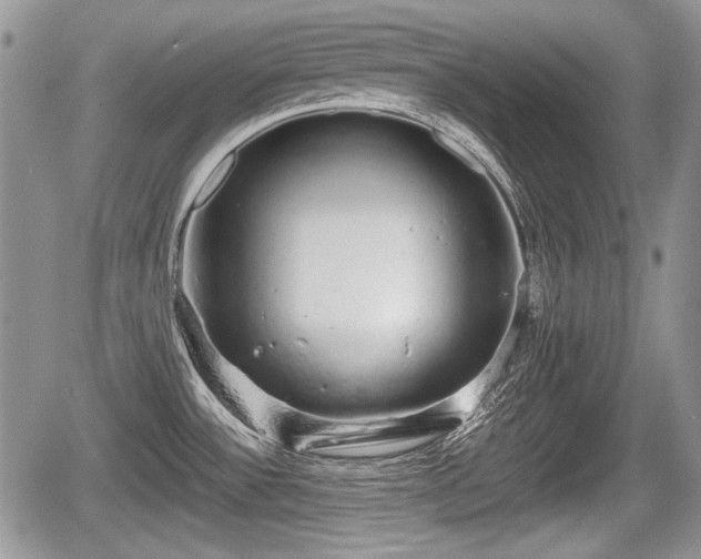 X0000067871532200604171211