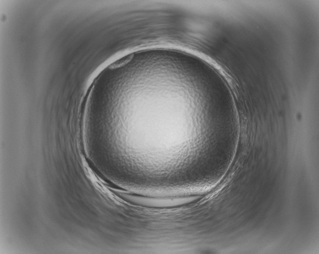 X0000067871534200604171211