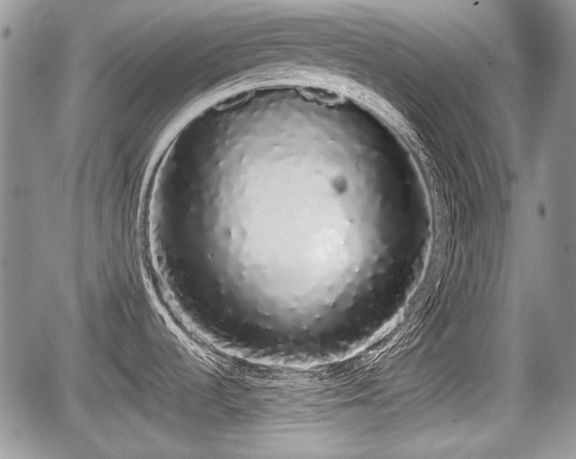 X0000067871536200604171211