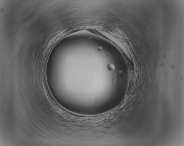 X0000067870001200604201230