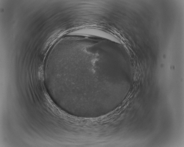 X0000067870002200604201230