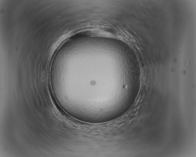 X0000067870003200604201230