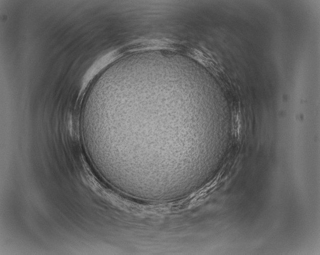 X0000067870004200604201230