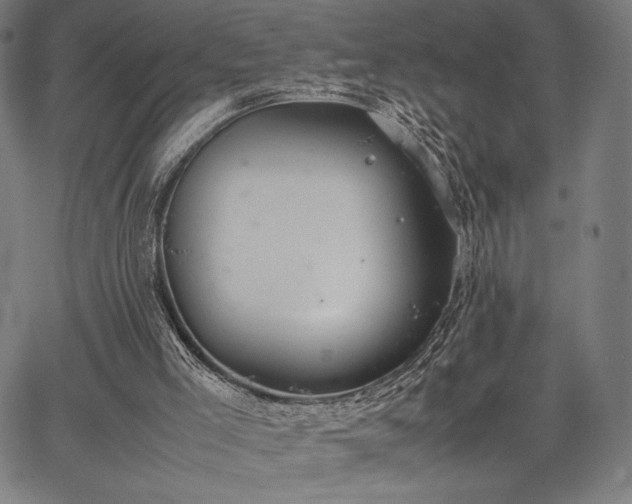 X0000067870005200604201230