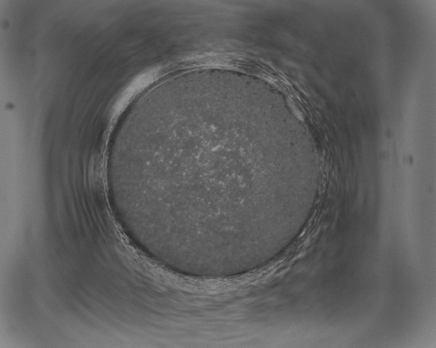 X0000067870006200604201230