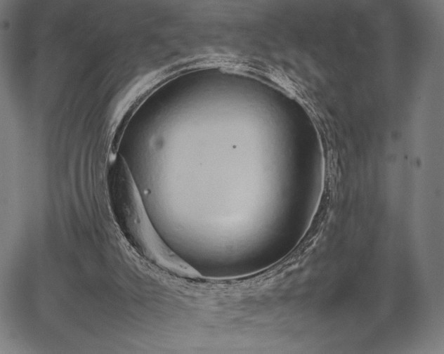 X0000067870007200604201230