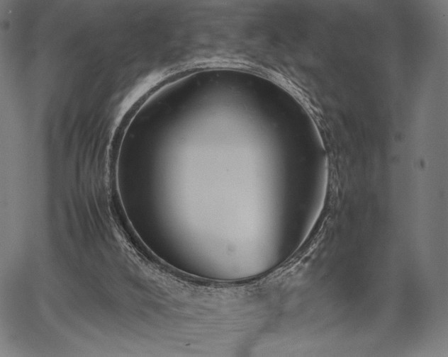 X0000067870008200604201230