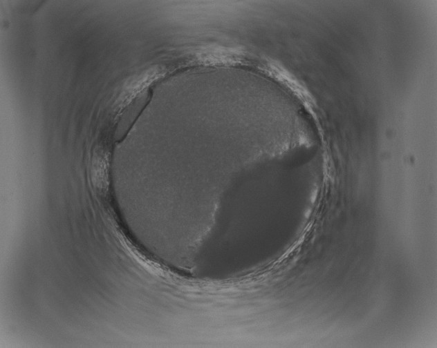 X0000067870009200604201230