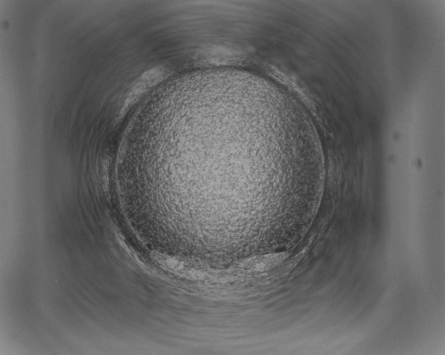 X0000067870010200604201230