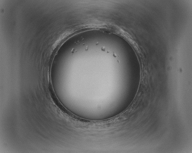 X0000067870011200604201230