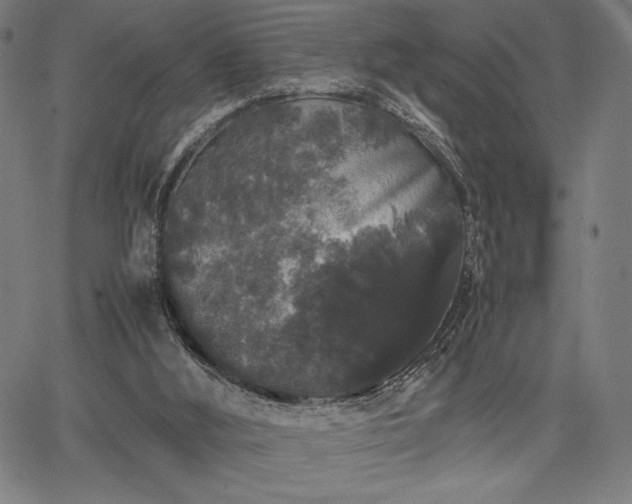 X0000067870012200604201230