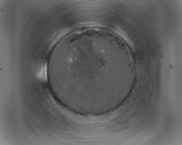 X0000067870014200604201229