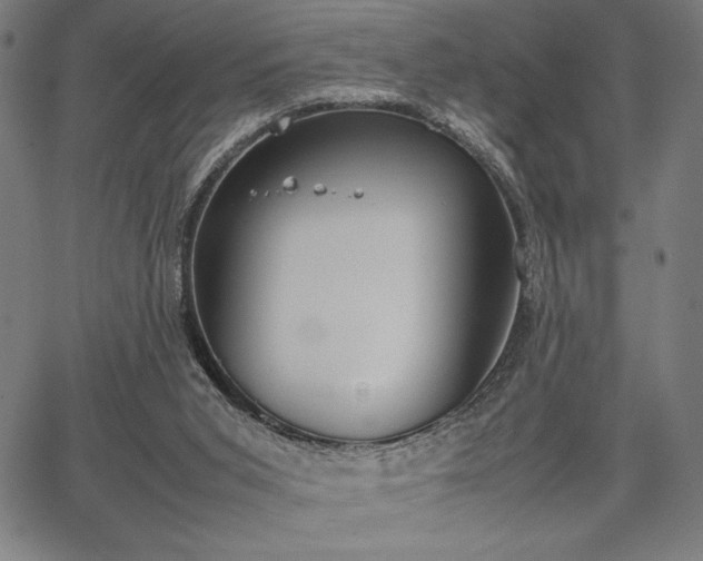 X0000067870015200604201229