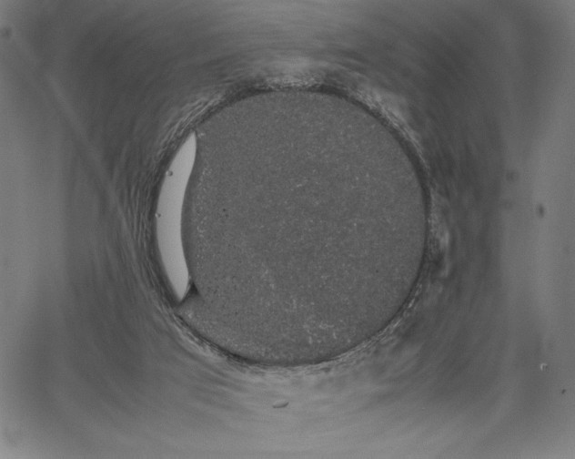 X0000067870017200604201229