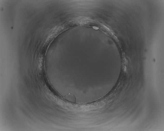 X0000067870018200604201229