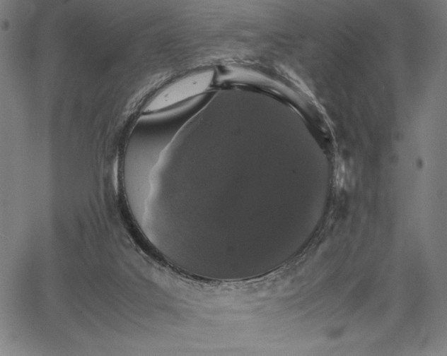 X0000067870019200604201229