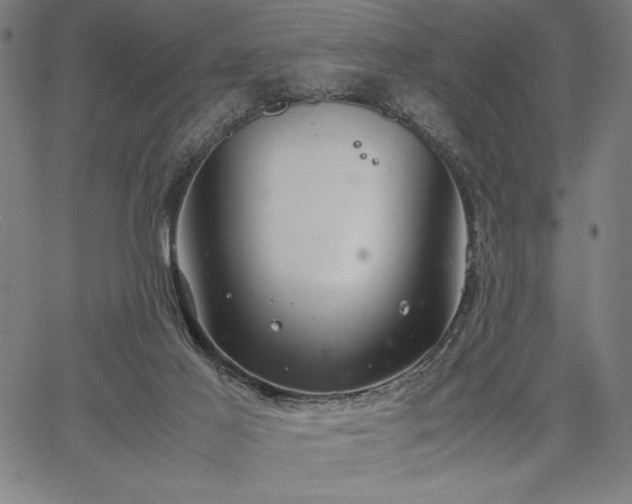 X0000067870021200604201229