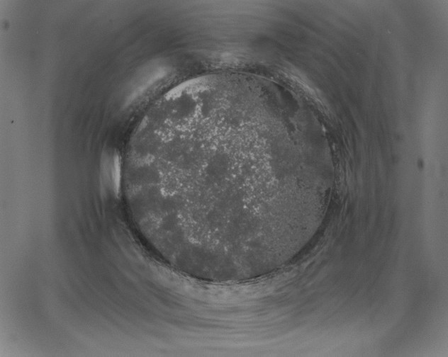 X0000067870022200604201229