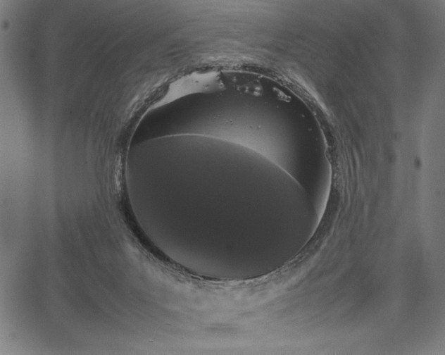 X0000067870023200604201229