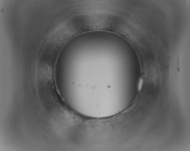 X0000067870025200604201229