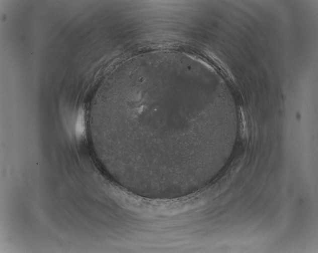 X0000067870026200604201229