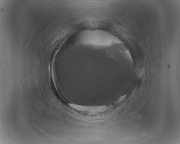 X0000067870027200604201229