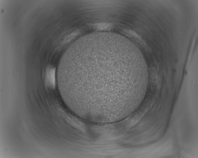 X0000067870028200604201229