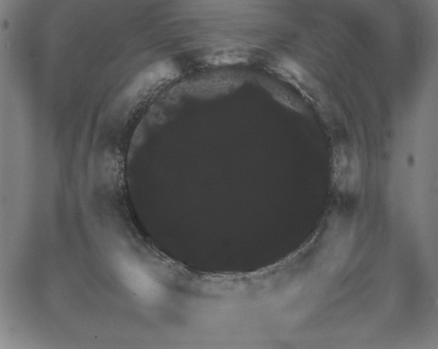 X0000067870029200604201229