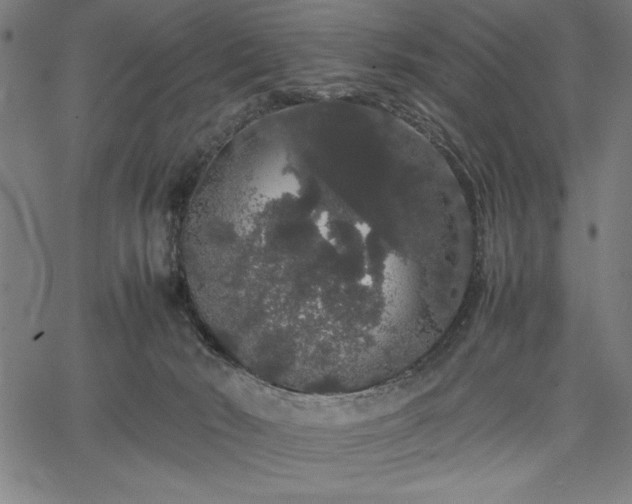 X0000067870030200604201229