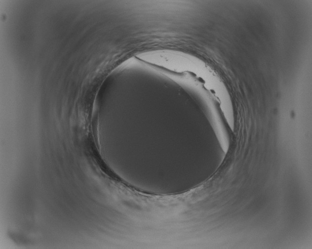 X0000067870031200604201229