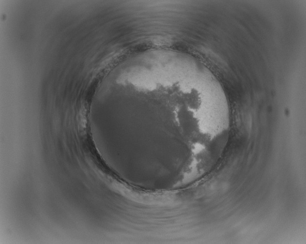 X0000067870032200604201229