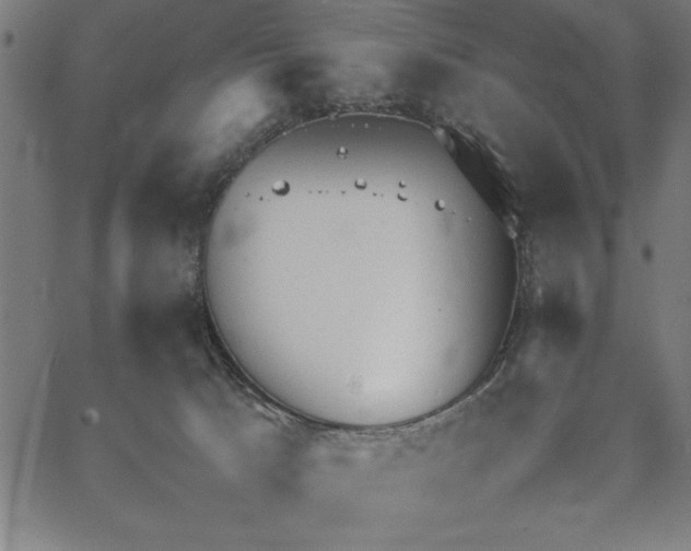 X0000067870033200604201229