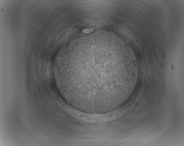 X0000067870034200604201229