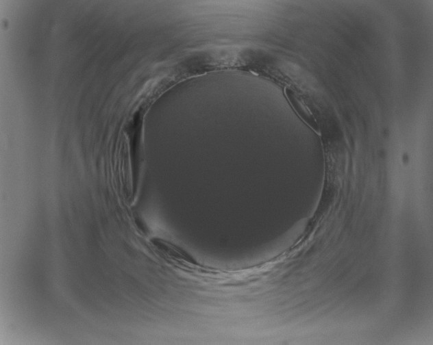 X0000067870035200604201229