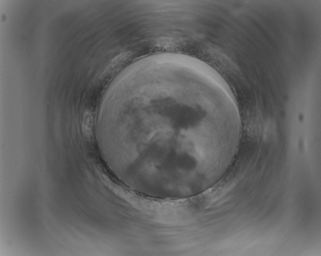 X0000067870036200604201229